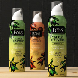 Gruo Pons